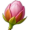 bud5