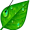 dew5