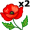 poppy5