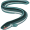 eel5