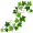 ivy5