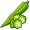 okra5