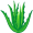 aloe5