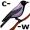 crow5