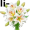 lilies5
