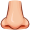 nose5