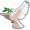 dove5