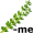 thyme5