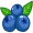 blueberry5