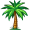 palm5