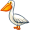 pelican5