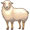 ewe5