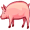 hog5