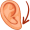 lobe5