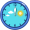 noon5