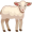 lamb5