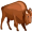 bison5