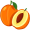 apricot5