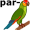par-rot5