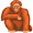 ape5