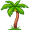 palm5