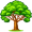 oak5