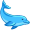 dolphin5