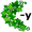 iv-y5