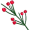 ephedra5