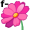 f-lower5