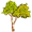 aspen5
