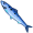 sardine5