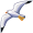 albatross5
