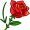 thorn5