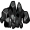 coal5