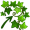 tendril5