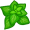 oregano5