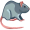 rat5