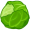 cabbage5