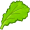 lettuce5