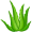 aloe5