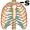 rib-s5