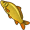 carp5