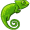 chameleon5