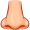nose5