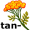 tan-sy5