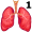 lungs5