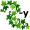 iv-y5
