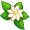 jasmine5