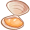 clam5